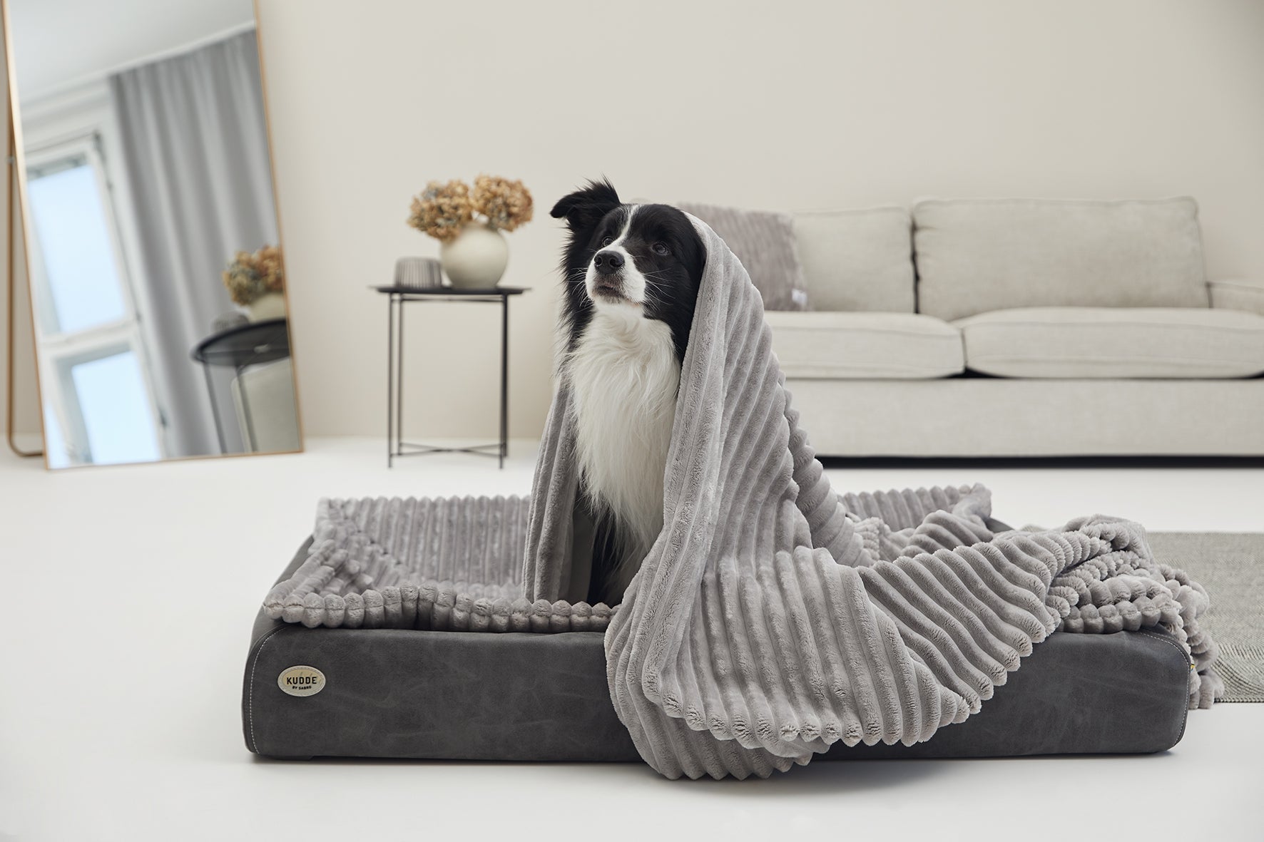 Kuscheldecke VÄRME Breitcord für Hunde – Ansicht 2