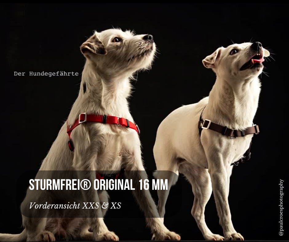 Vorderführgeschirr STURMFREI® Original (16 mm) – XXS & XS - höhenverstellbar aus BioThane® für Hunde – Ansicht 2