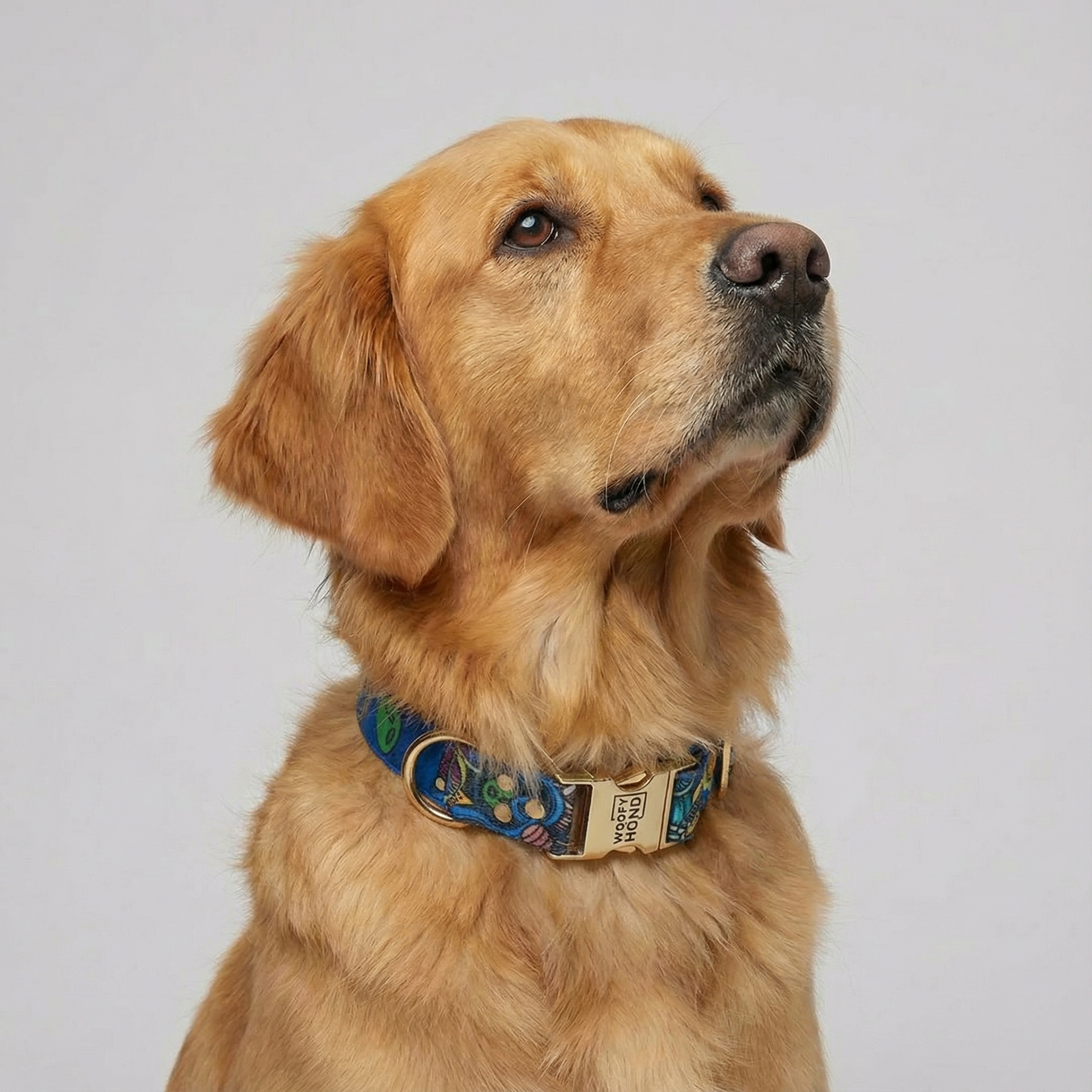 Halsband Galaxy für Hunde – Ansicht 2
