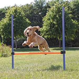 Trixie-Hund Aktivität Agility-Horde Blau / Orange