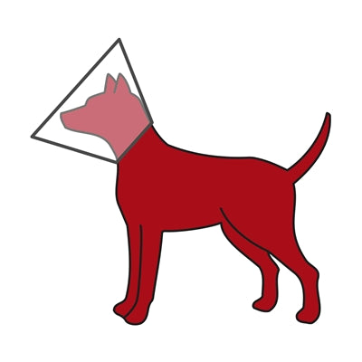 Trixie-Schutzkragen Mit Klettverschluss Kunststoff Transparent