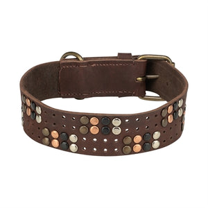 Trixie Hundehalsband Niete Rustikal Spitze Leder Dunkelbraun