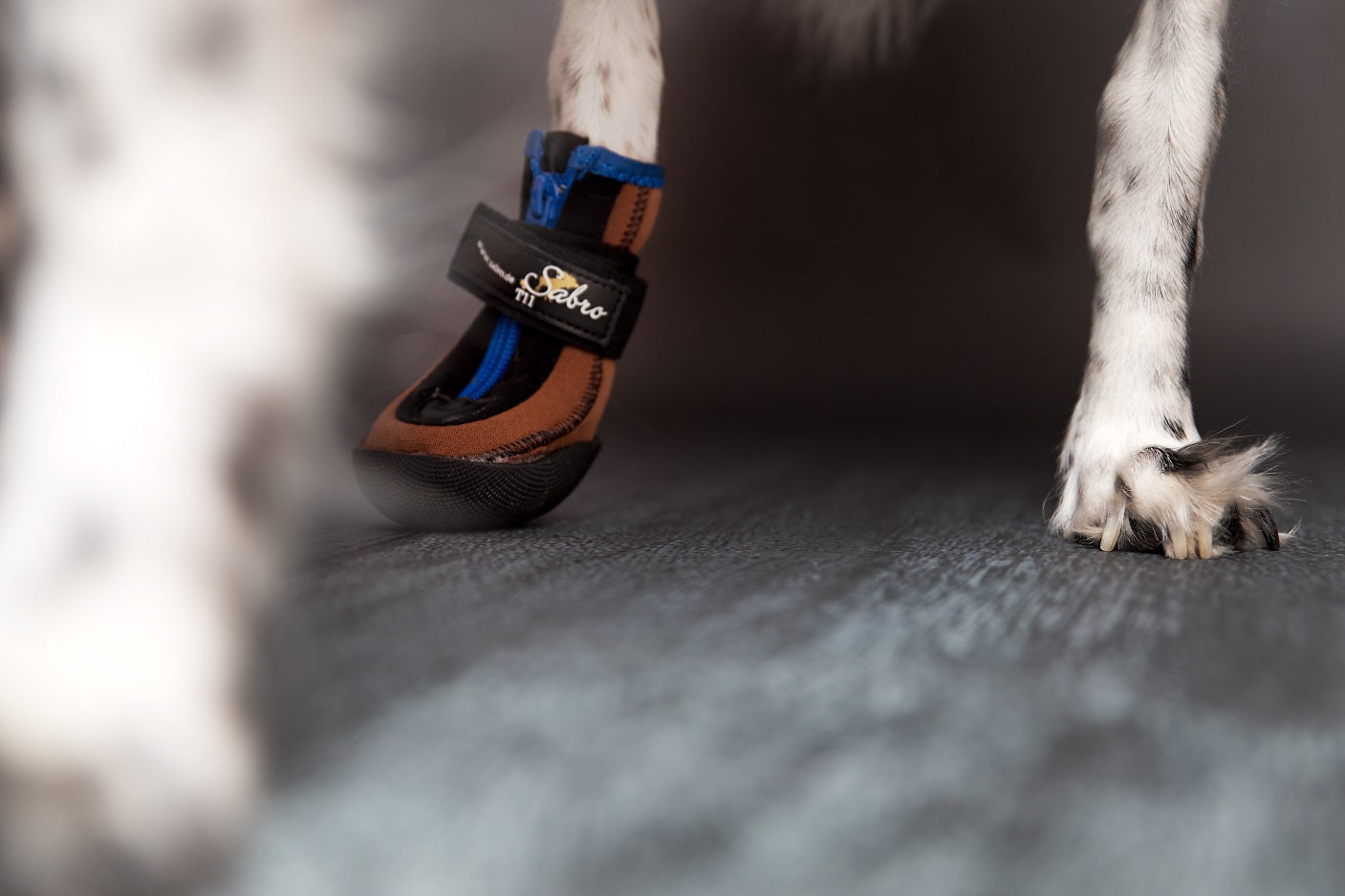 Hundeschuhe TOFFLER Pfotenschutz – Ansicht 2