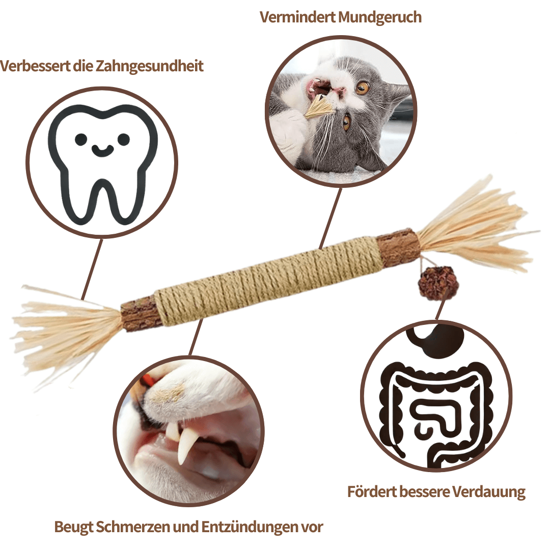 ZAHNLIEBE Katzen-Zahnpflege – Kausticks zur Maulhygiene – Ansicht 2