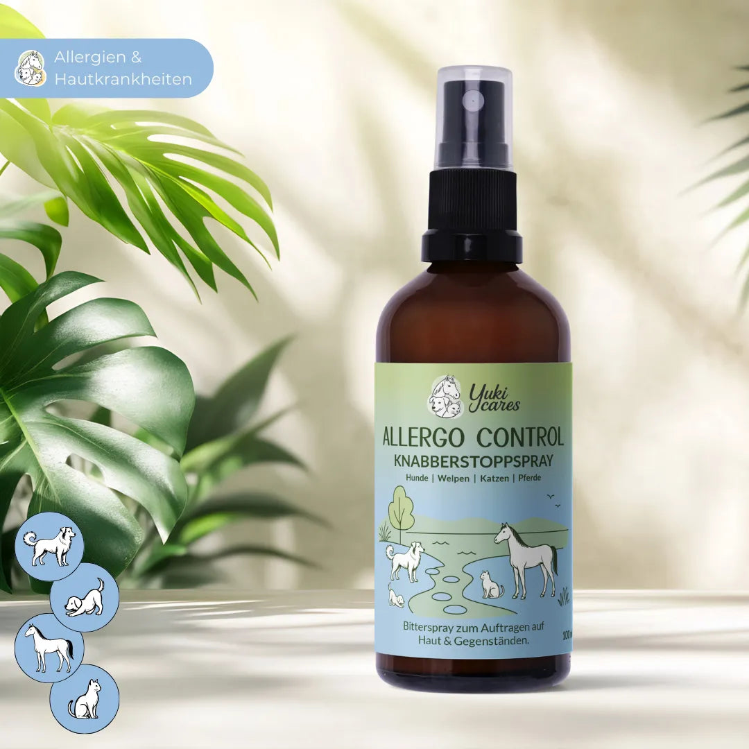 Allergo Control Knabberstopp – Ansicht 2