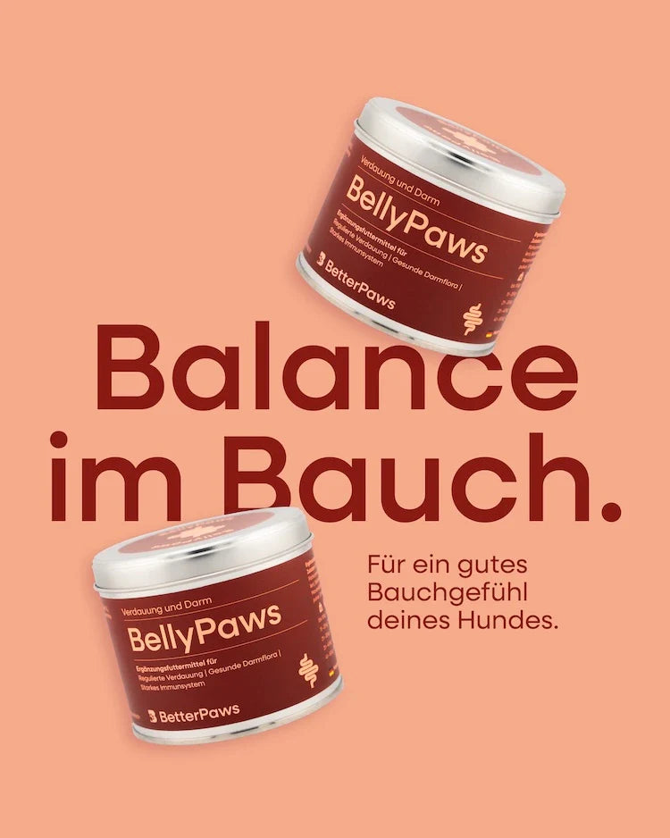 BellyPaws für Hunde – Ansicht 2