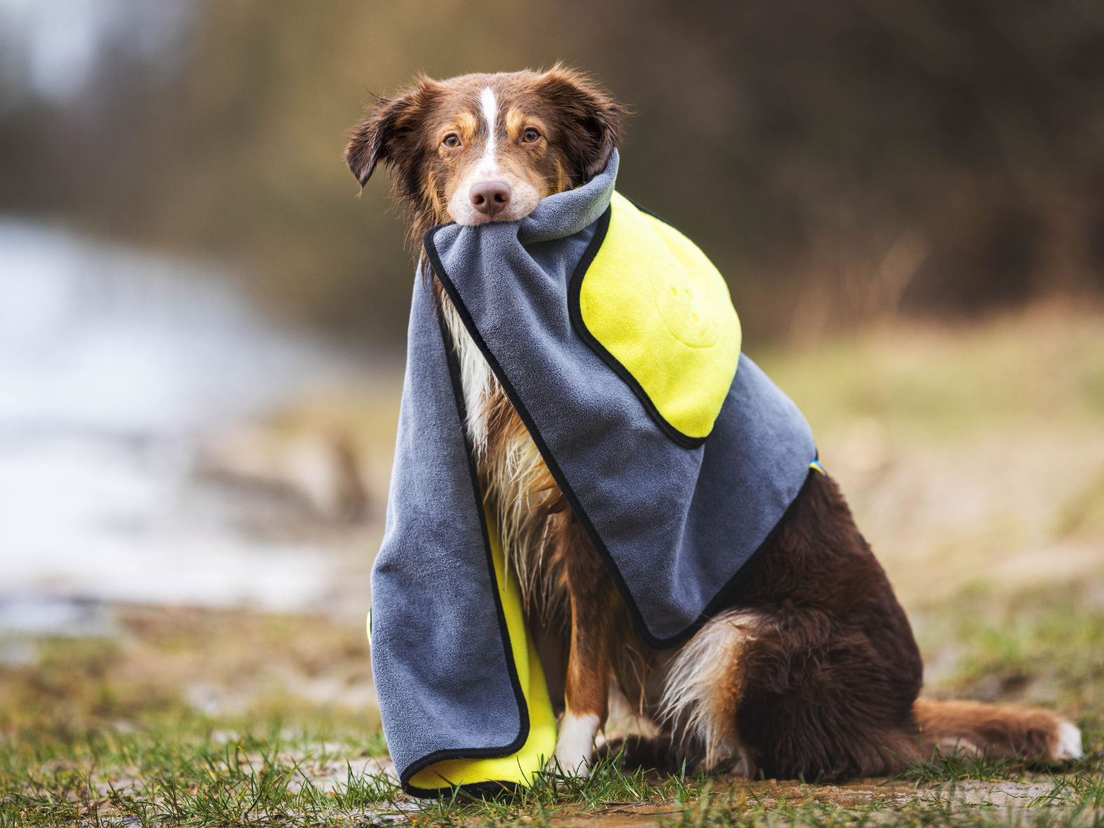 Handtuch BUDDY für Hunde – Ansicht 2