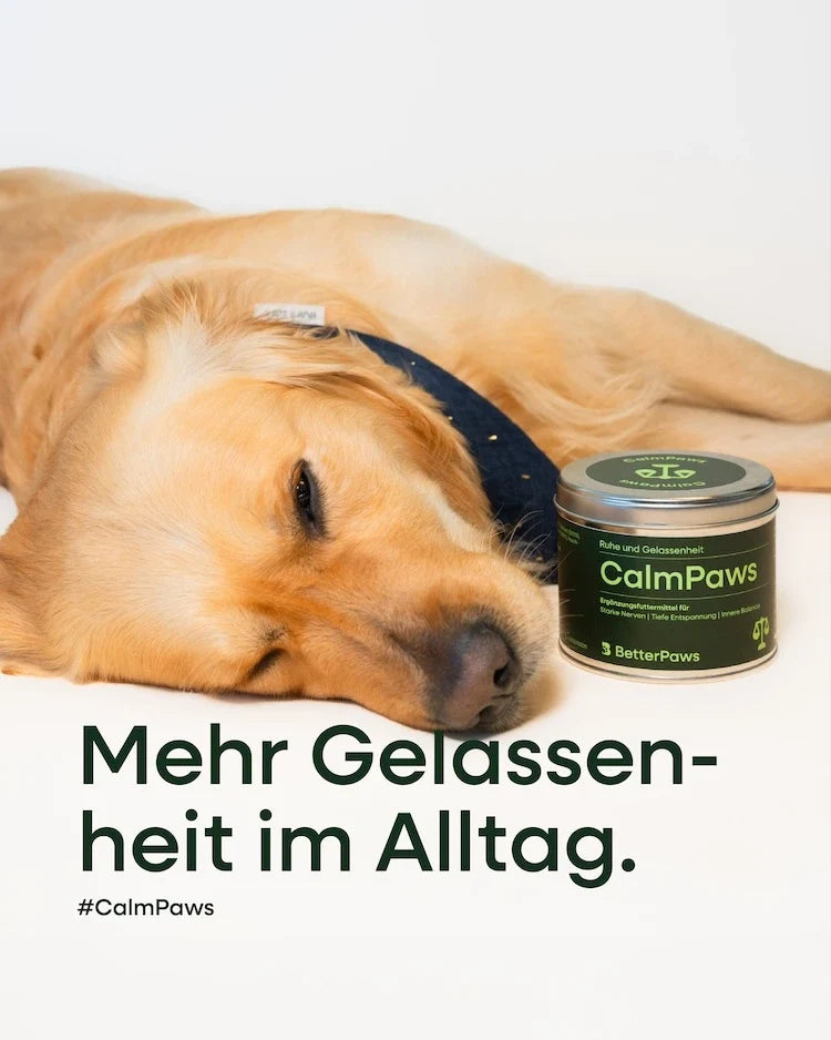 CalmPaws für Hunde – Ansicht 2