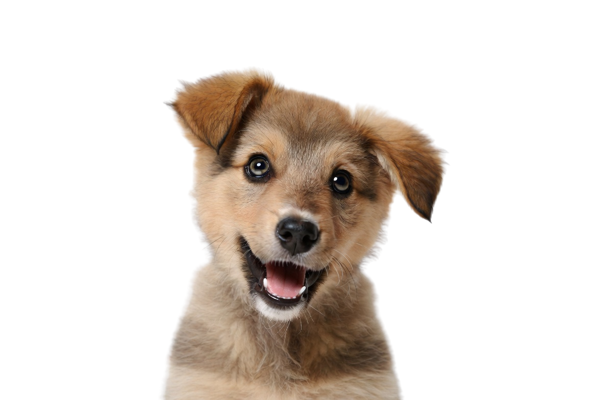 Design ohne Titel (24).png__PID:d9188e58-6127-4ef1-afdf-250acaa13bc4