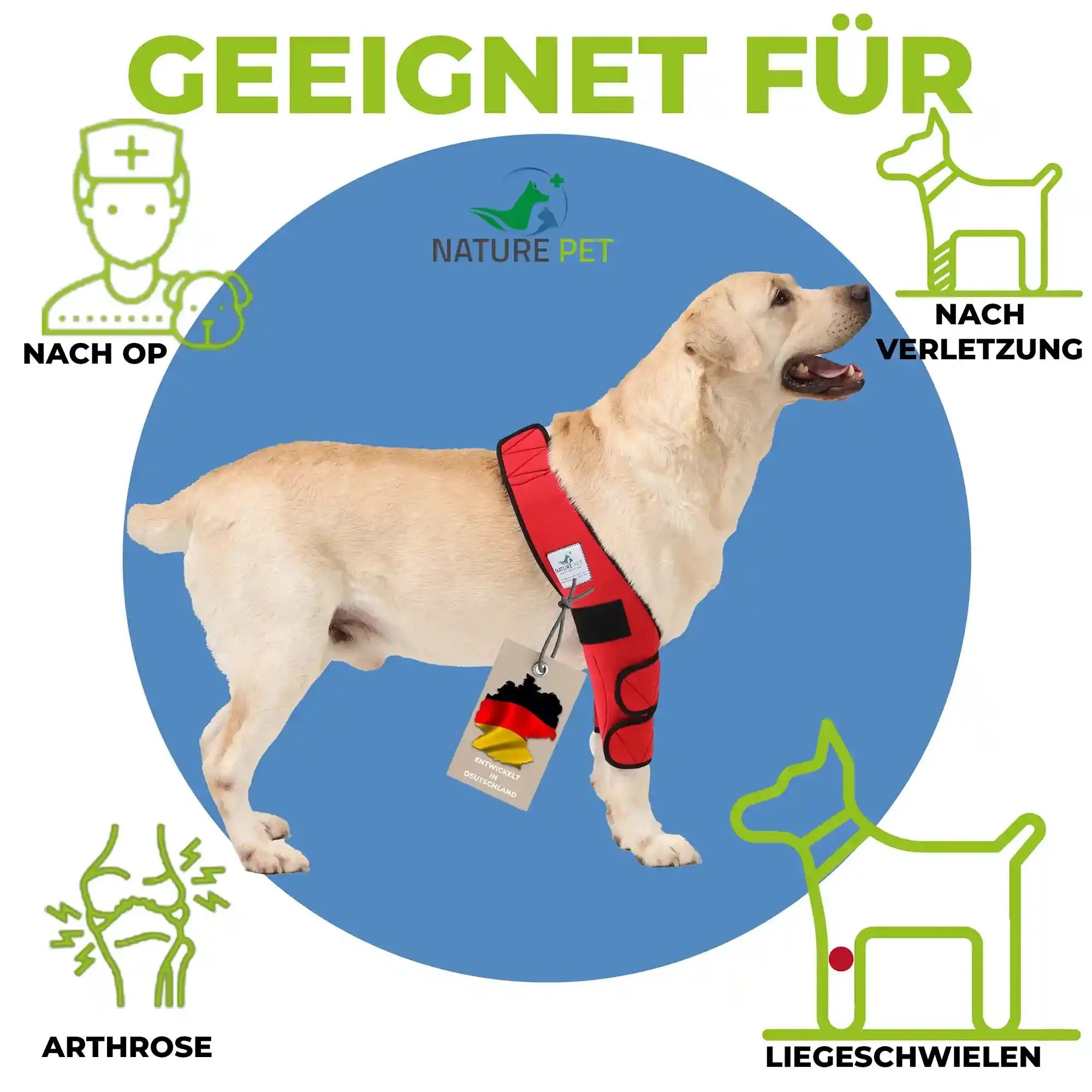 Liegeschwielen Bandage für Hunde – Ansicht 2