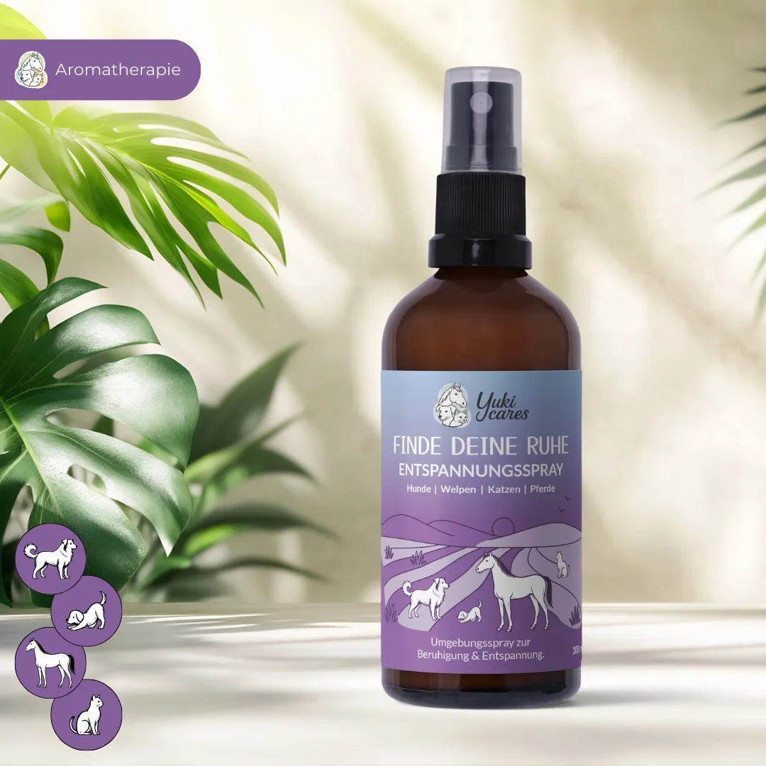 Entspannungsspray Finde deine Ruhe 100ml – Ansicht 2