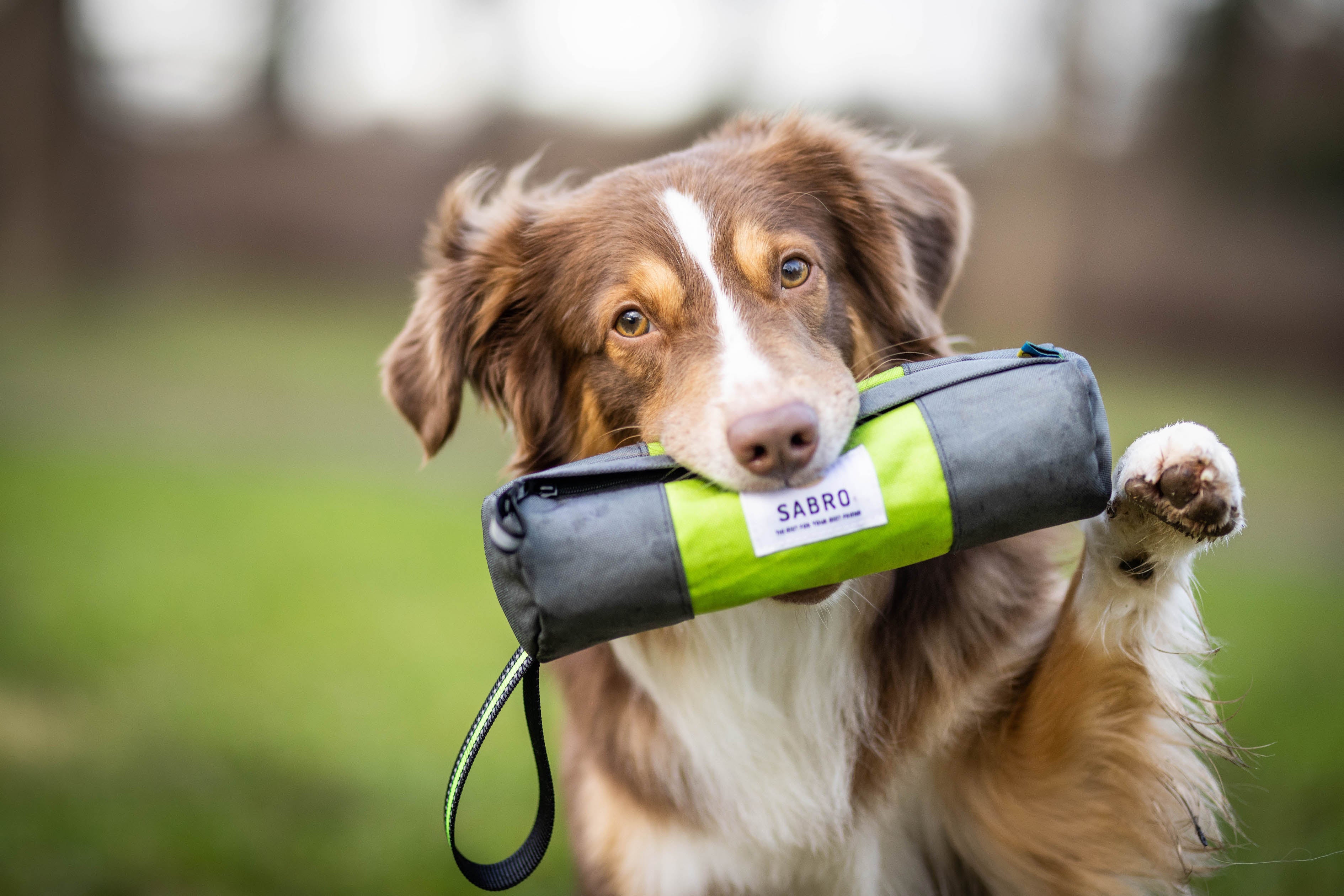 Futterdummy für Hunde – Ansicht 2
