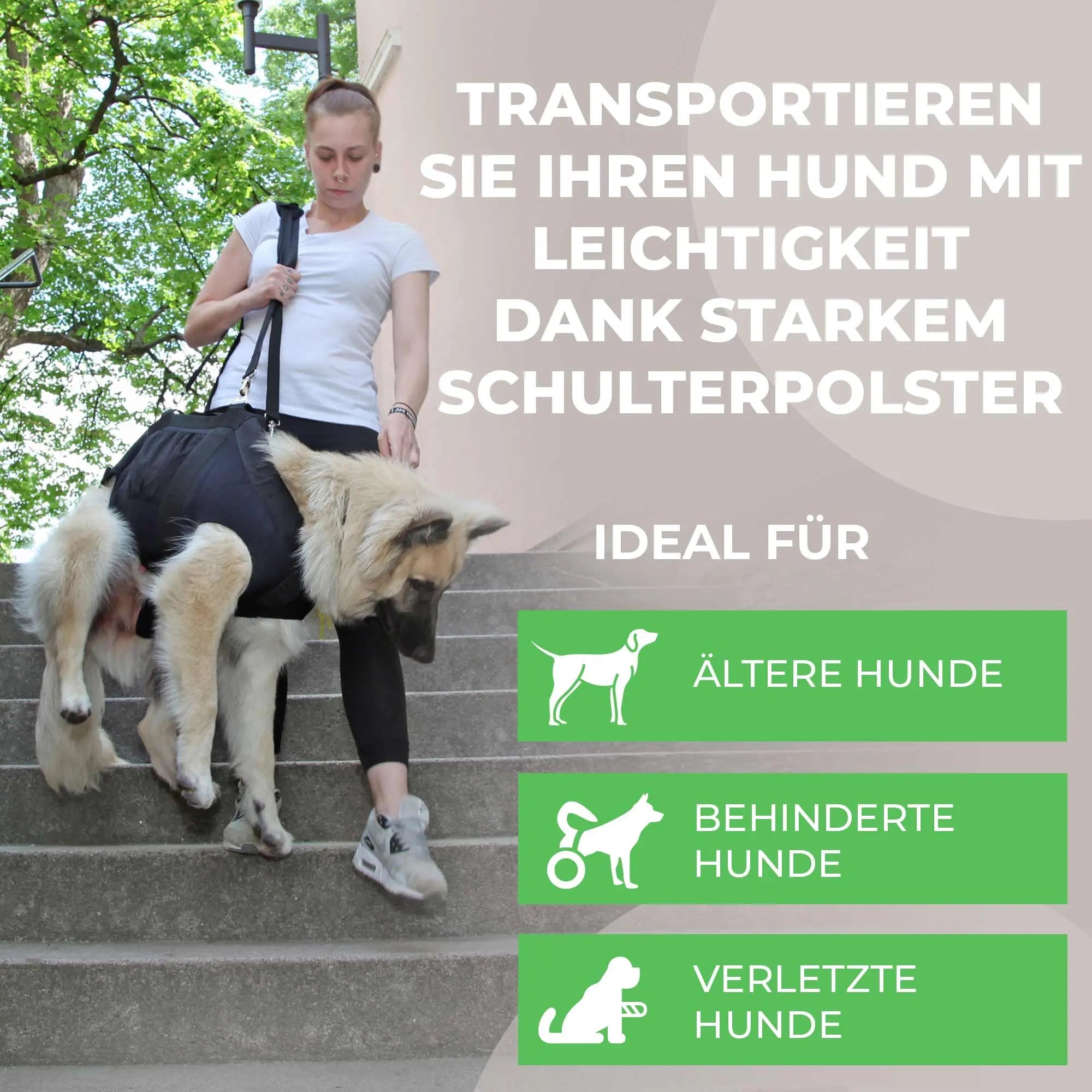 Ganzkörper Tragehilfe für Hunde – Ansicht 2