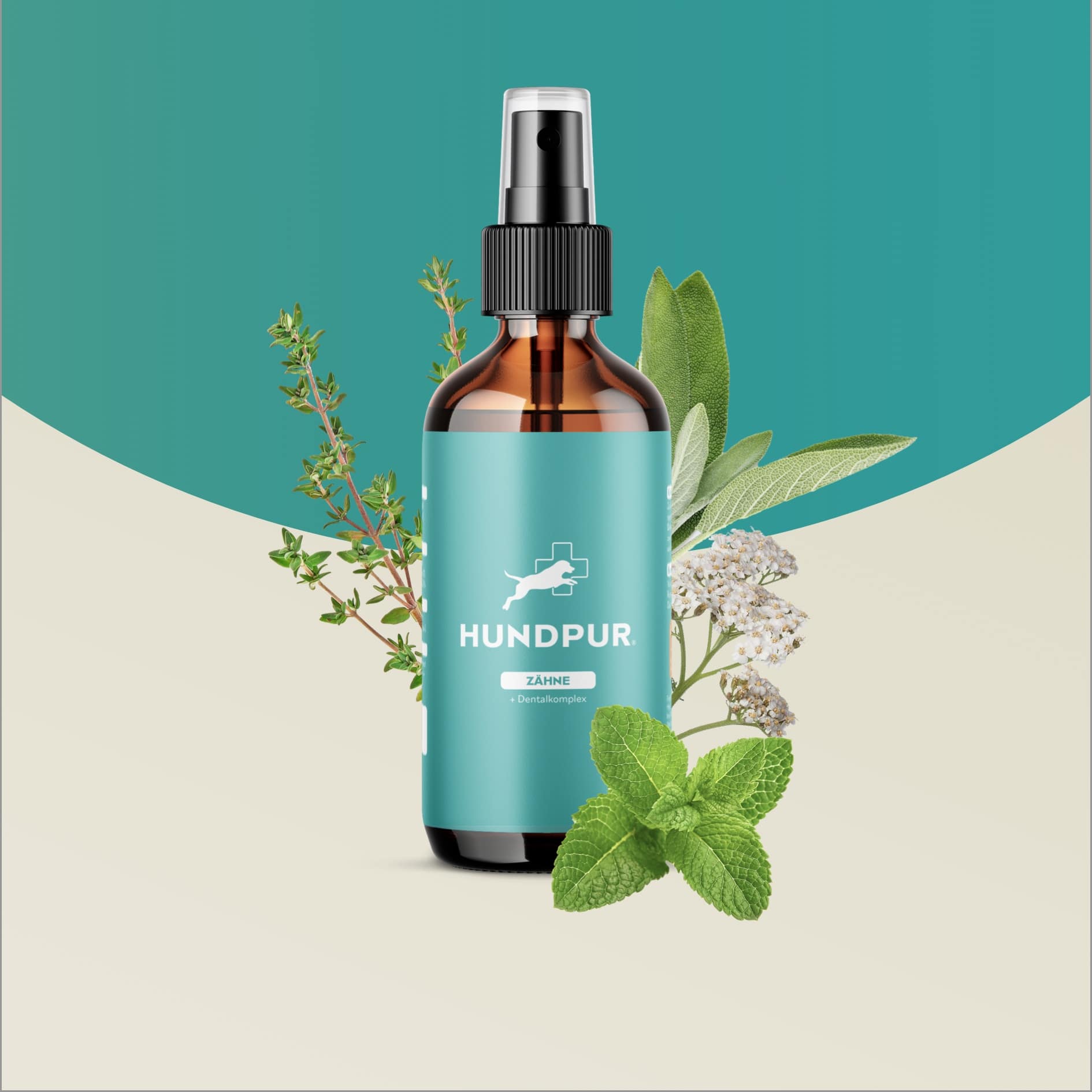 Hundpur® Dentalspray für Hunde – Ansicht 2