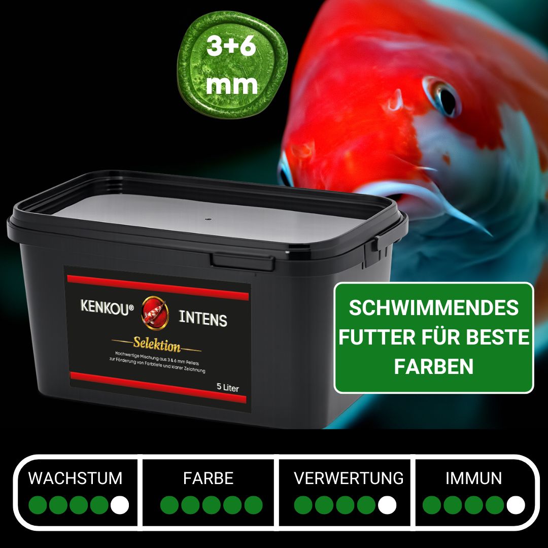 KENKOU® -Selektion- INTENS Farbfutter-MIX 5 Liter – Ansicht 2