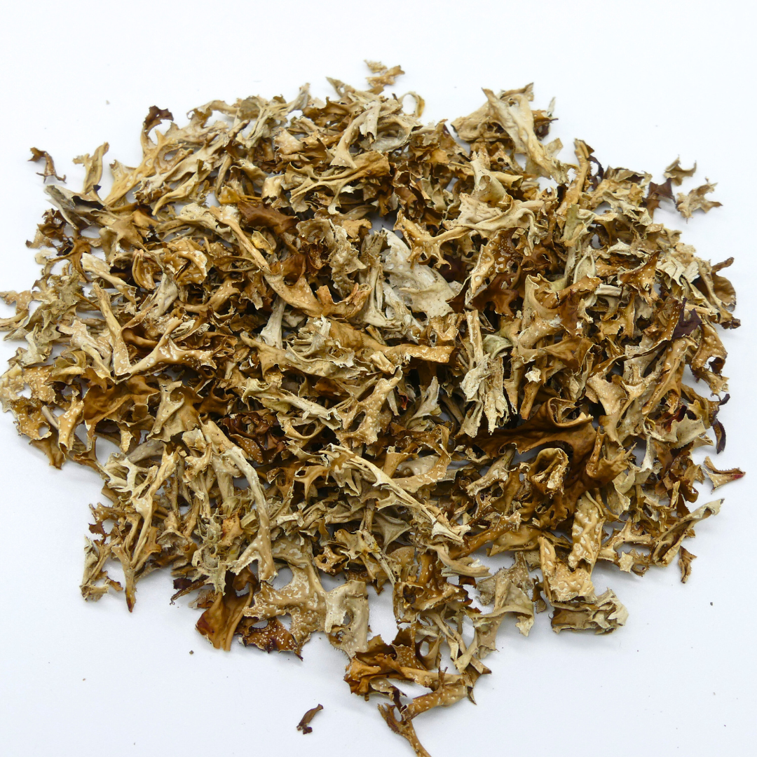 Isländisch Moos Pferd 1kg – Ansicht 2