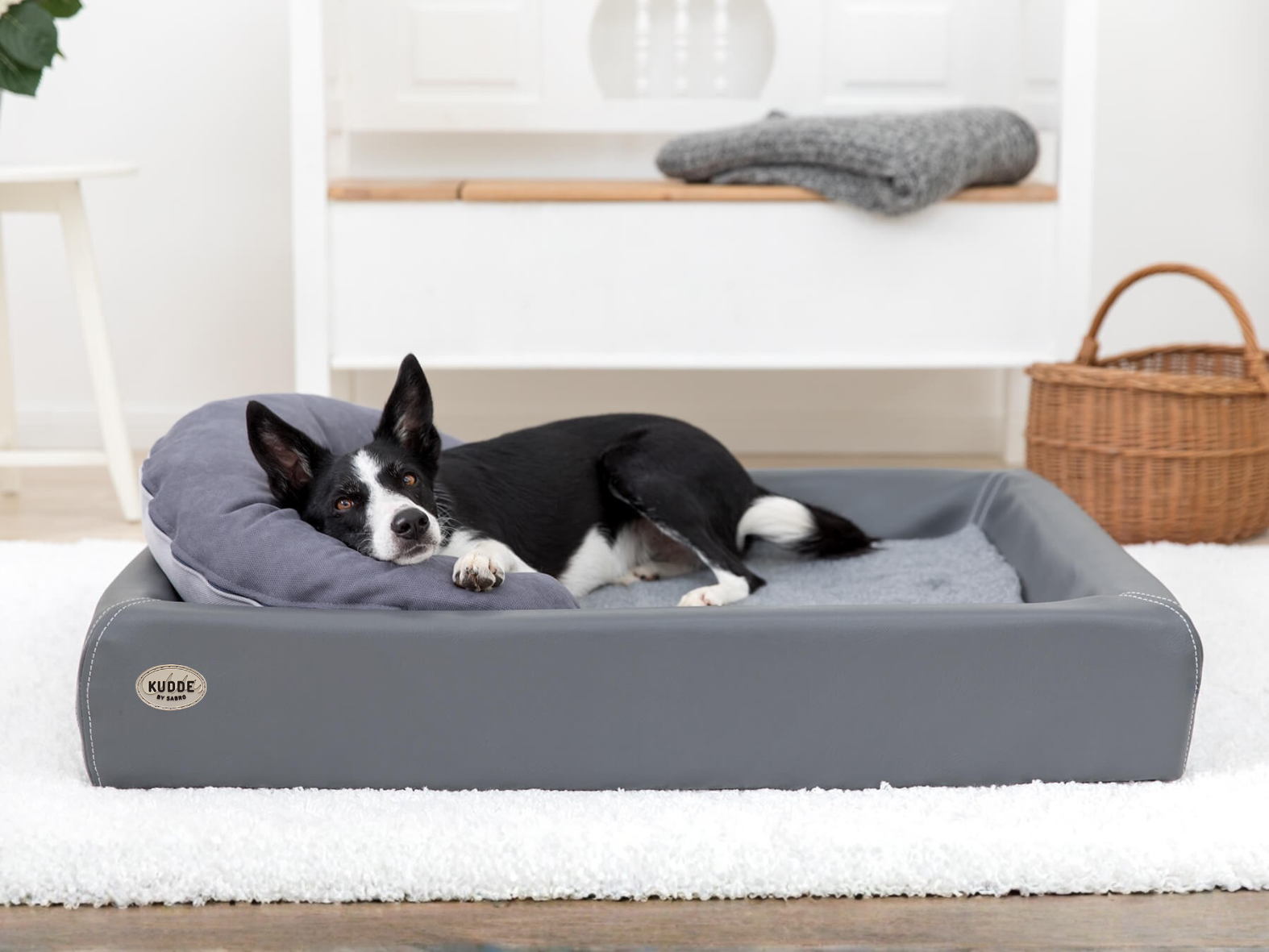 Kuschelbundle | KUDDE + Schmusehörnchen Alltid für Hunde – Ansicht 2