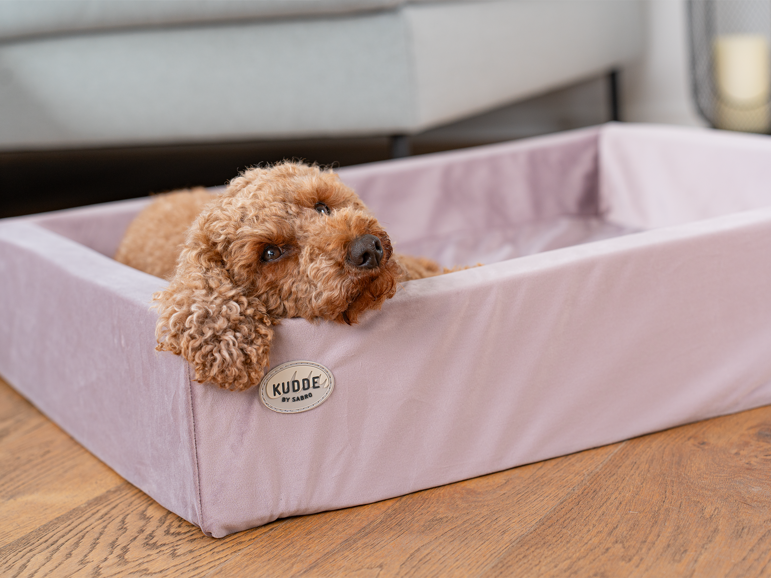 Bezug für KUDDE Samt für Hunde – Ansicht 2