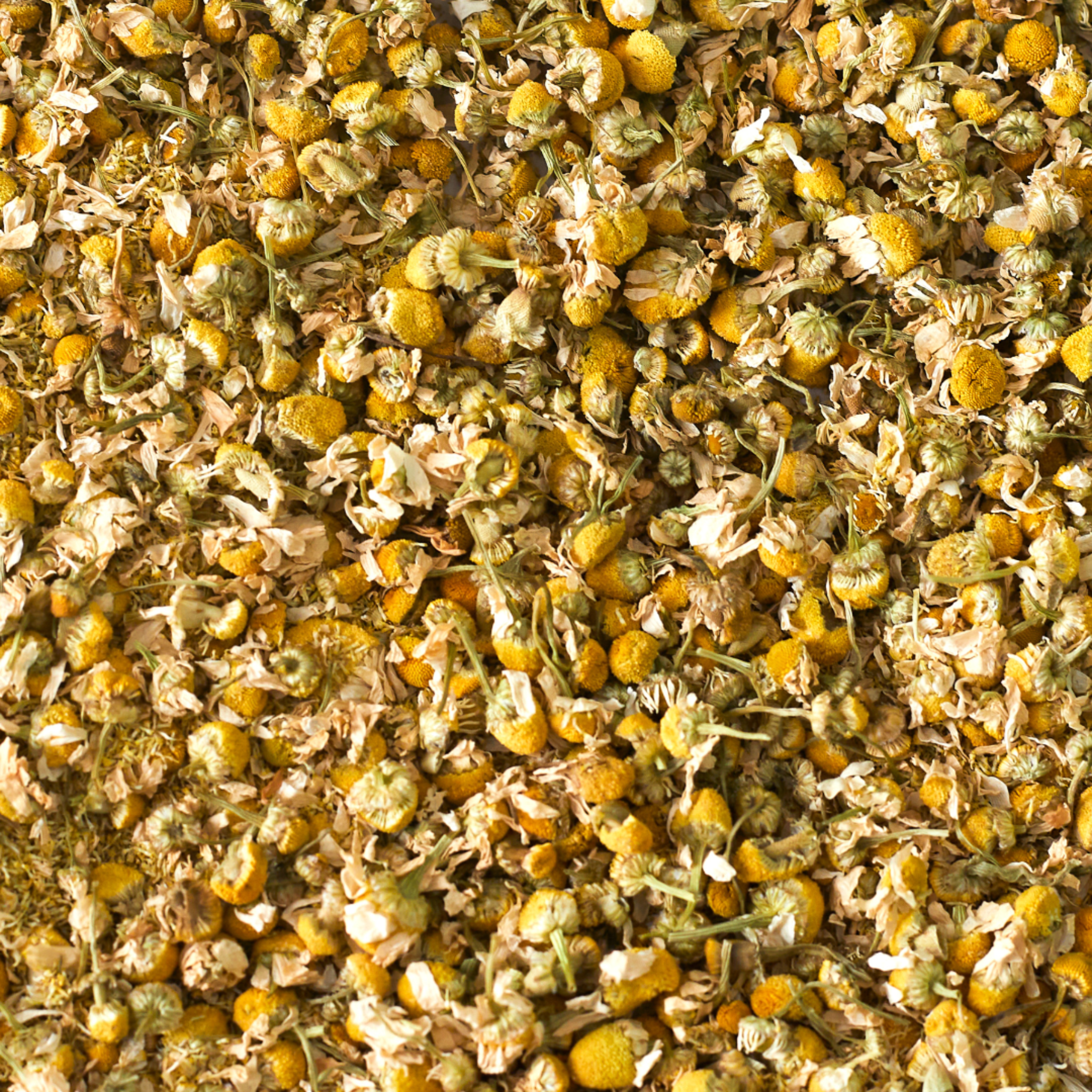 Kamille Pferd 1kg ganze Blüte – Ansicht 2