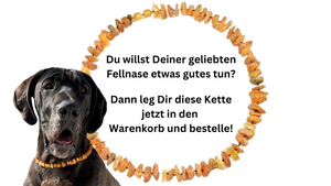 Hunde Bernsteinkette Sonne – Ansicht 4