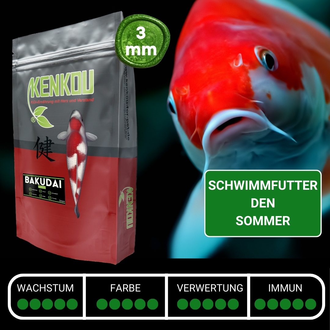 Koifutter 3mm BAKUDAI - schwimmend von KENKOU® – Ansicht 2