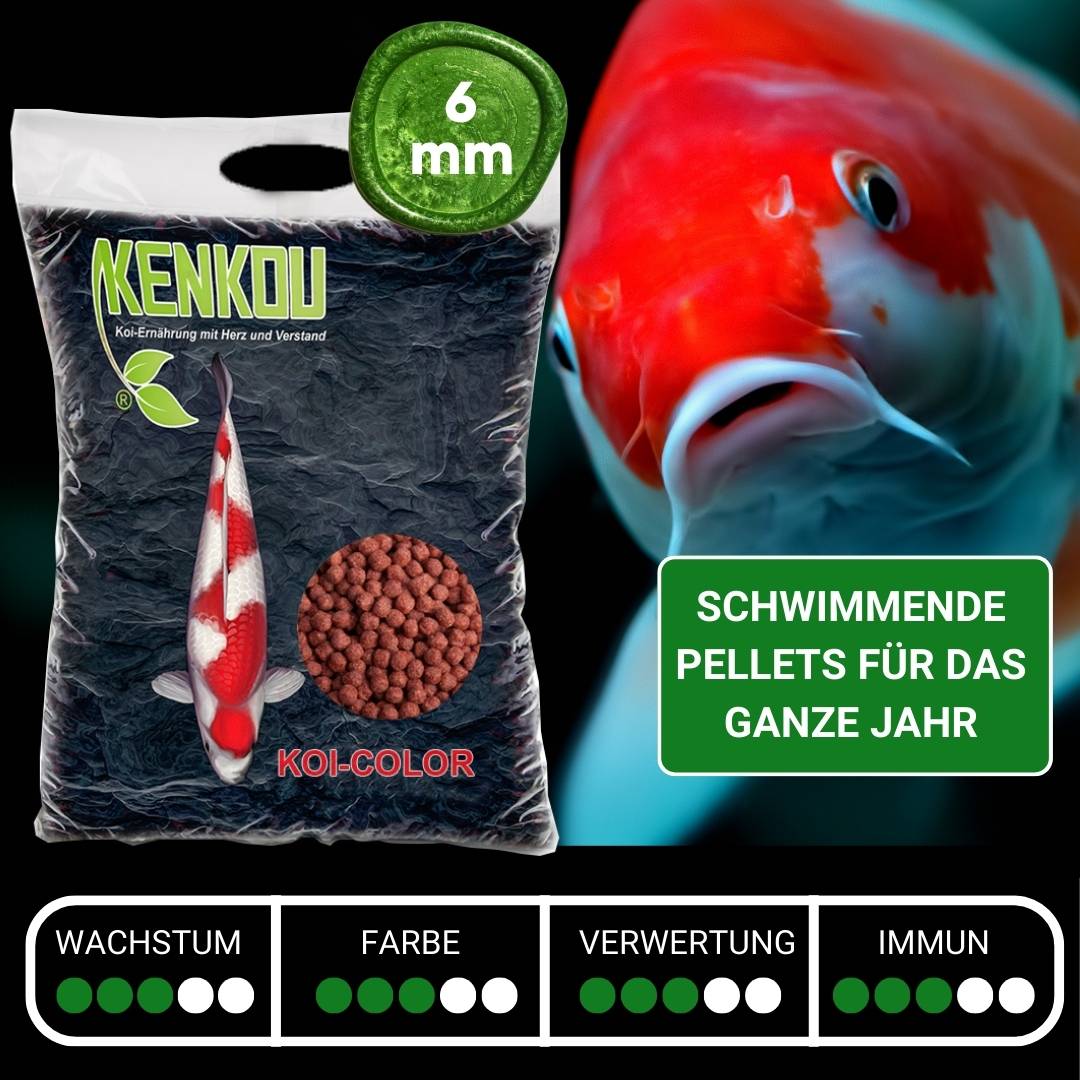 KENKOU® Koi-Color Koi Farbfutter schwimmend – Ansicht 2