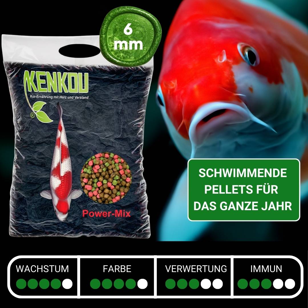 KENKOU® Power-Mix 6 mm Koifutter schwimmend – Ansicht 2