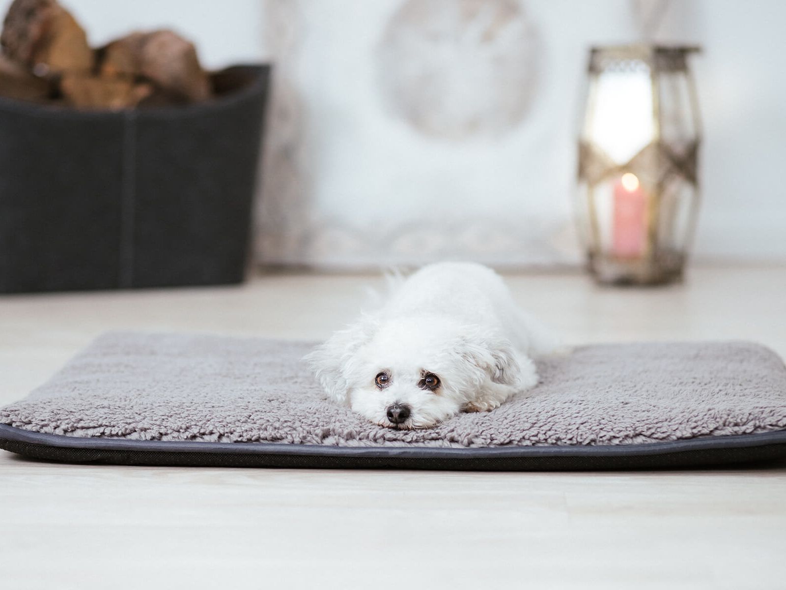 Hundematte HYGGE PAD – Ansicht 2