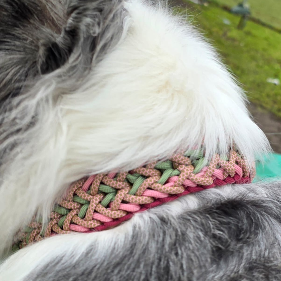 Handgemachtes Paracord-Hundehalsband „Rosé Sage“ – Ansicht 2