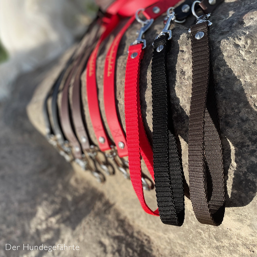 Doppel-Schleppleine FERNWEH aus BioThane®/POP - Band - längenverstellbar - mit separatem Handgriff für Hunde – Ansicht 2
