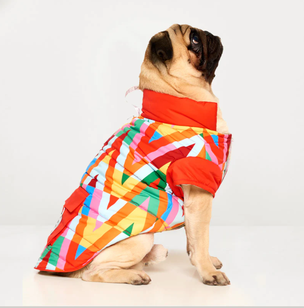 Color Splash Wasserdichte Pufferjacke für Hunde – Ansicht 2