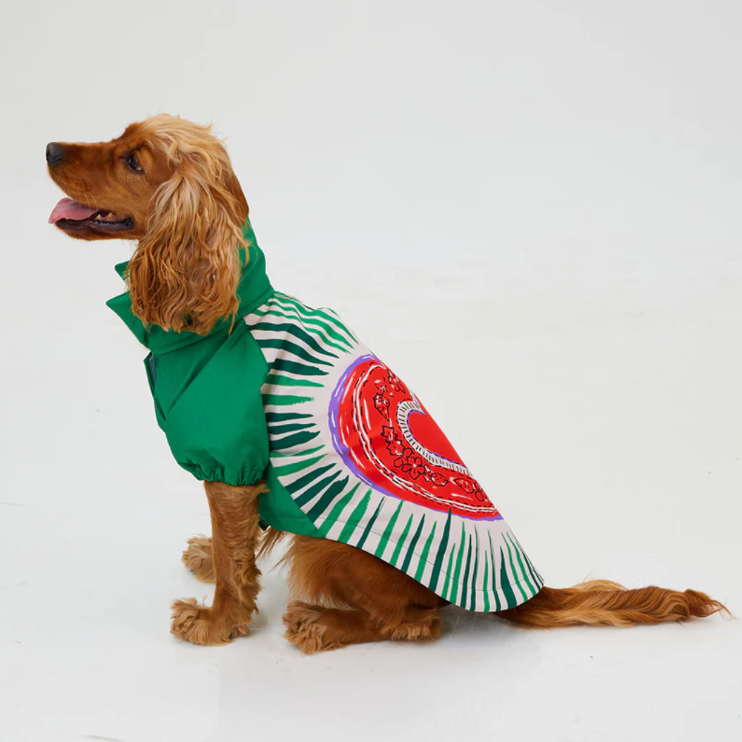 LoveShield Regenjacke für Hunde – Ansicht 2