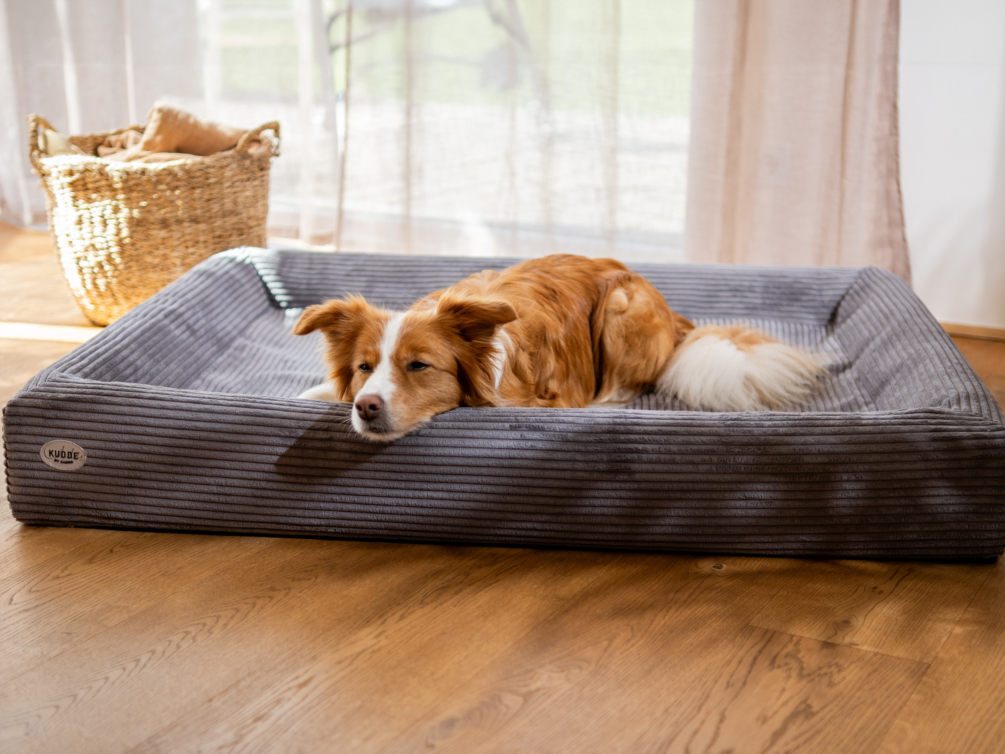 Hundebett KUDDE Cord – Ansicht 2