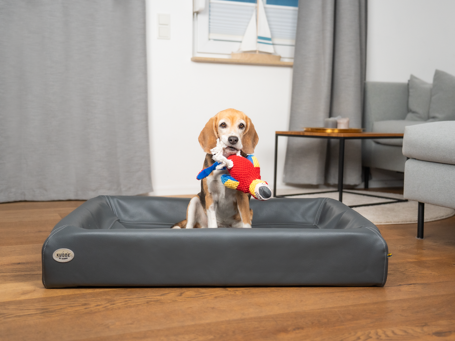Papagei PEPE für Hunde – Ansicht 2