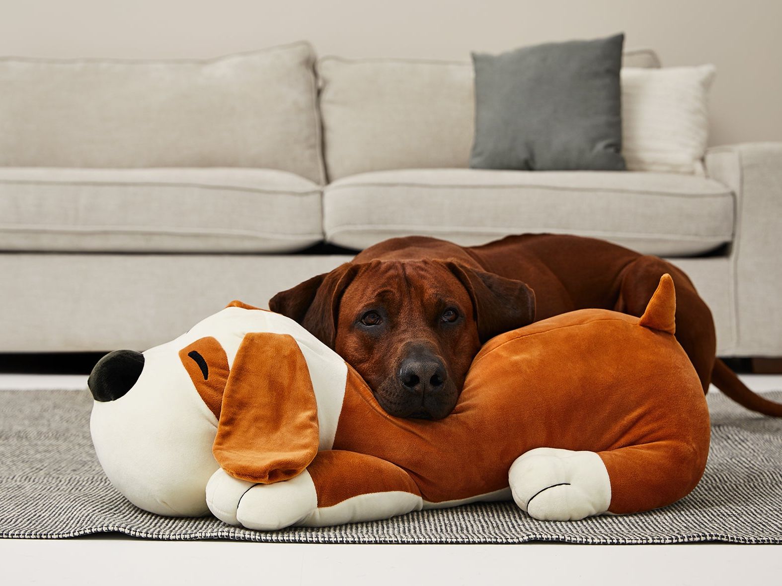 Kuschelkumpel TOMMI für Hunde – Ansicht 2