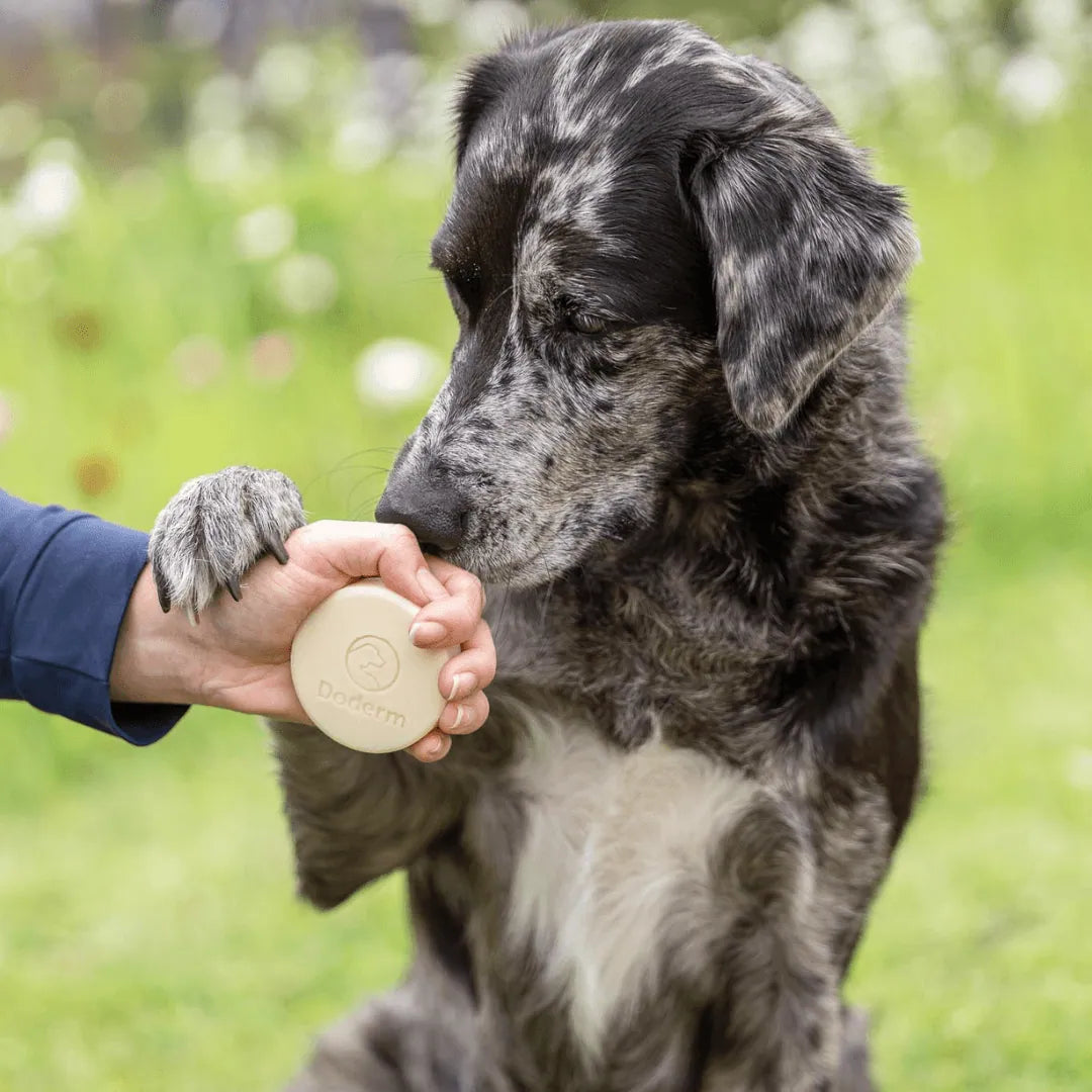 Doderm Shampoo Bar Pet – Ansicht 2