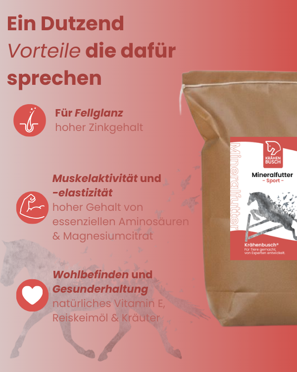 Krähenbusch® Mineralfutter Sport – Ansicht 2