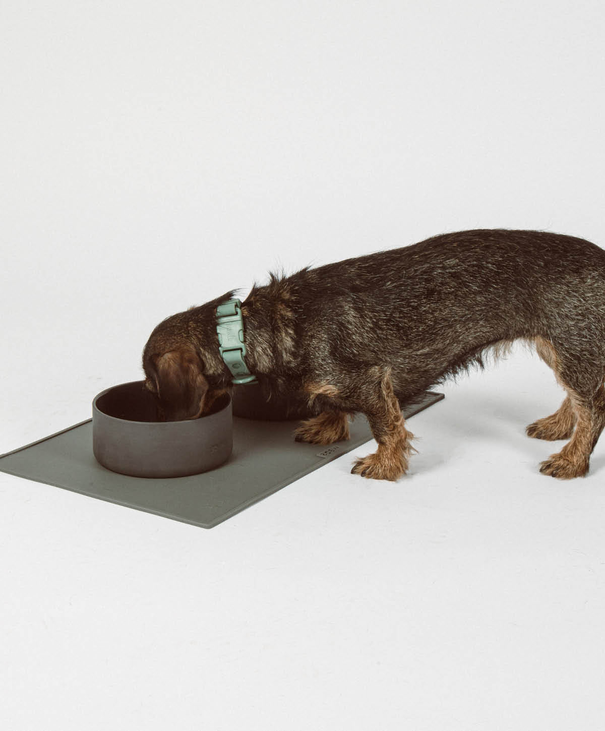 Ceramic Bowl für Hunde – Ansicht 2