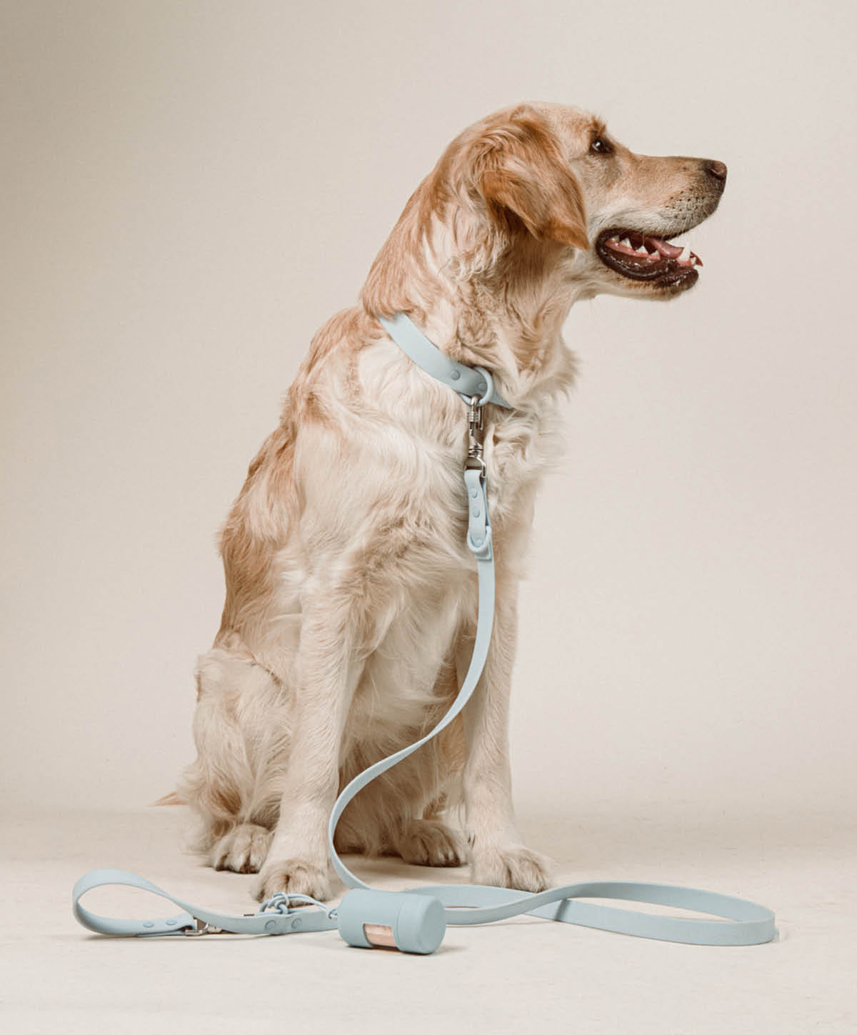 Collar Set – Ansicht 2