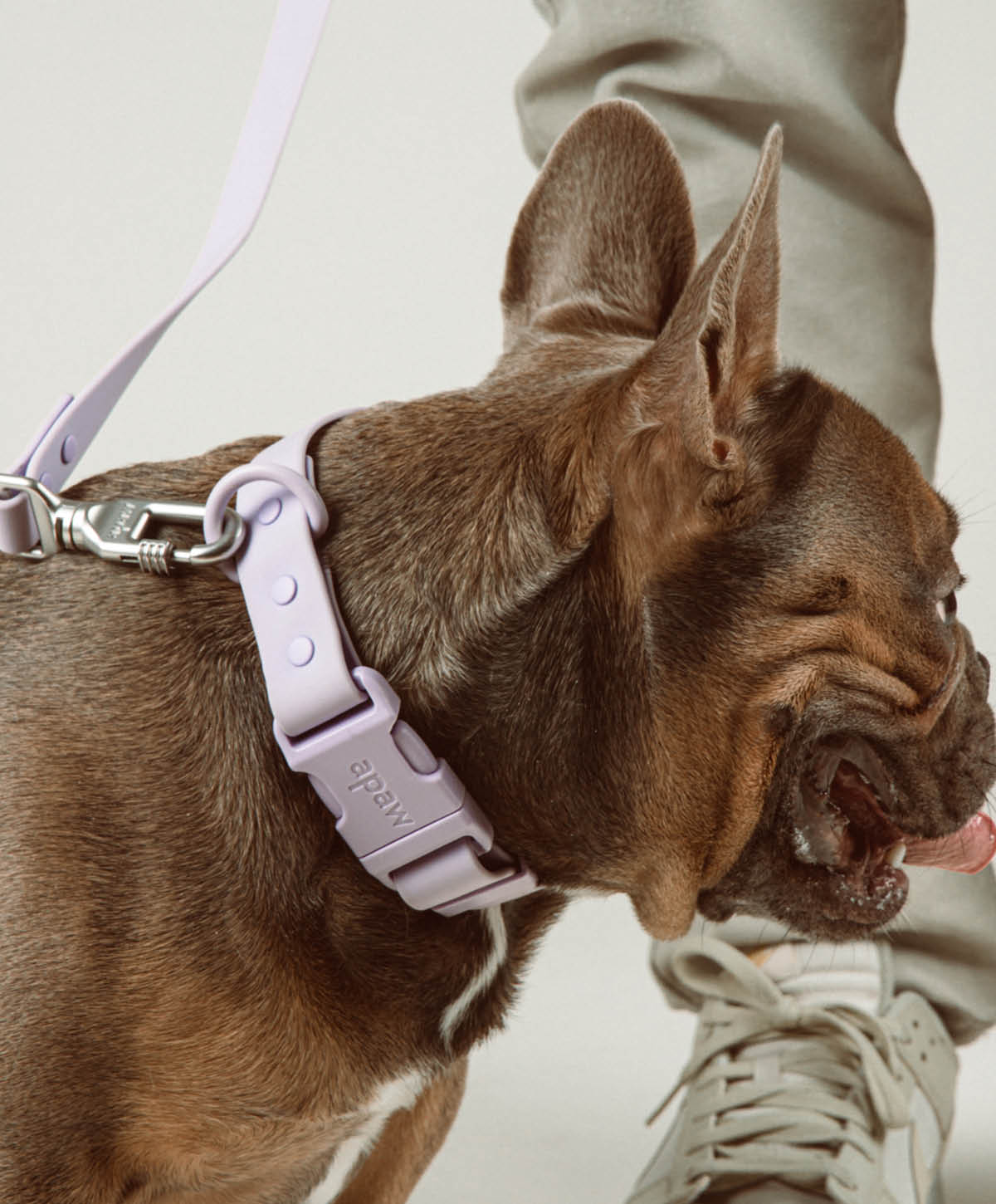 Halsband 'Ease' für Hunde – Ansicht 2