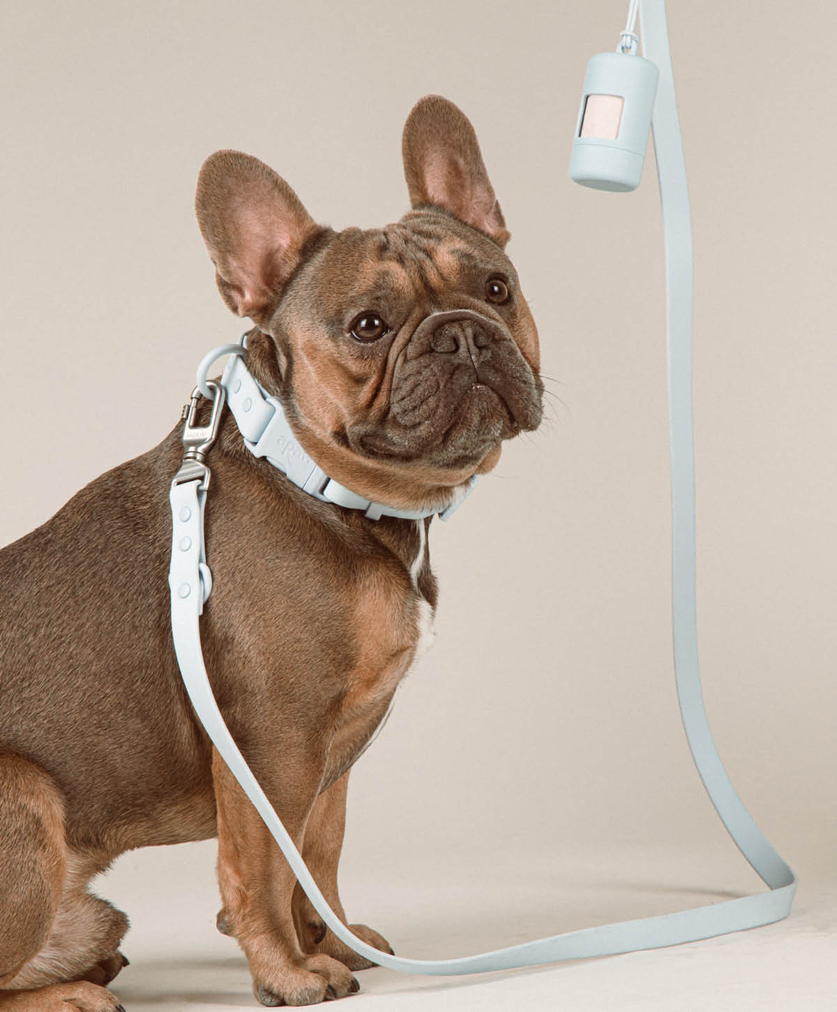 Leine 'Ease' für Hunde – Ansicht 2