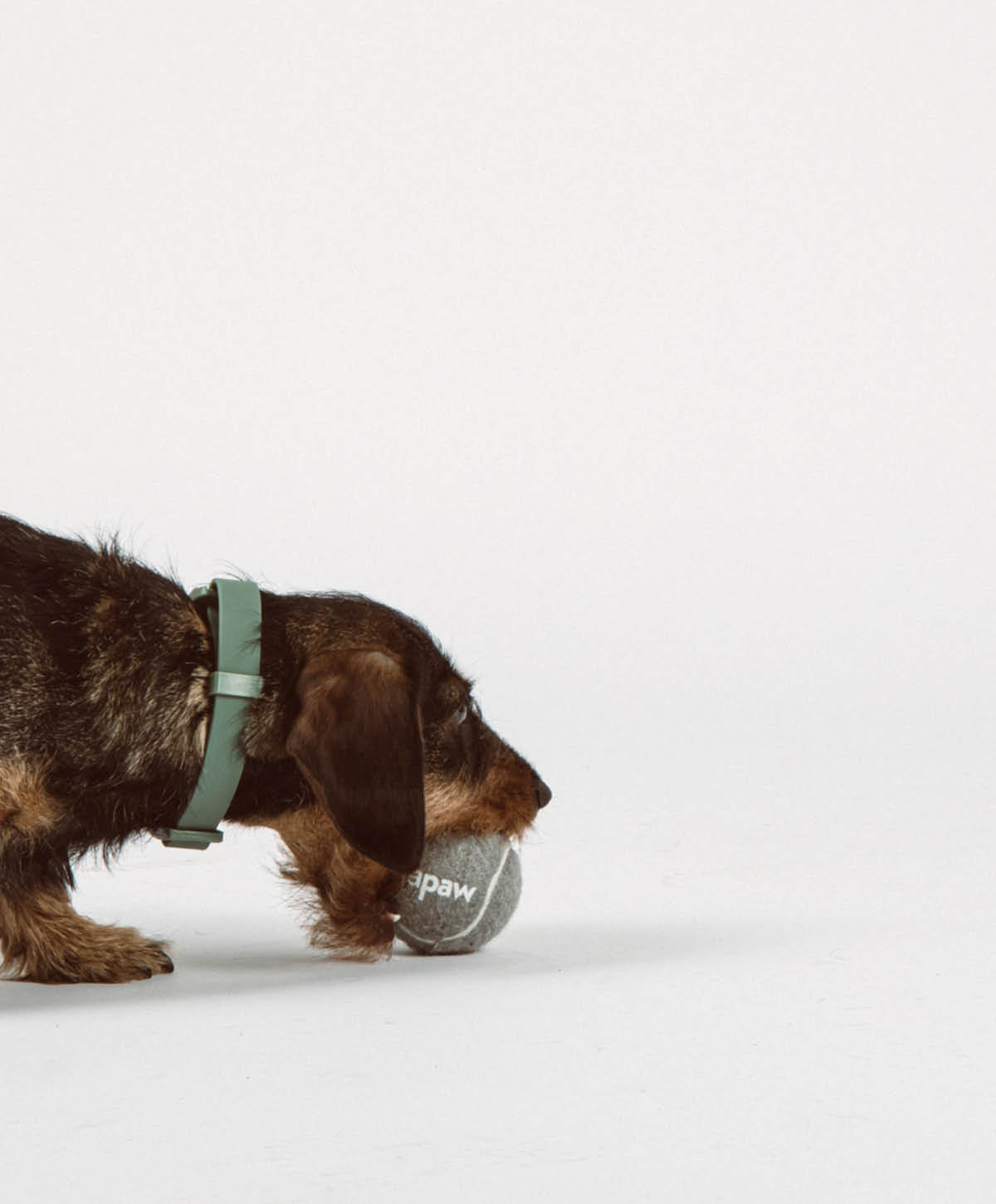 Play Set für Hunde – Ansicht 2