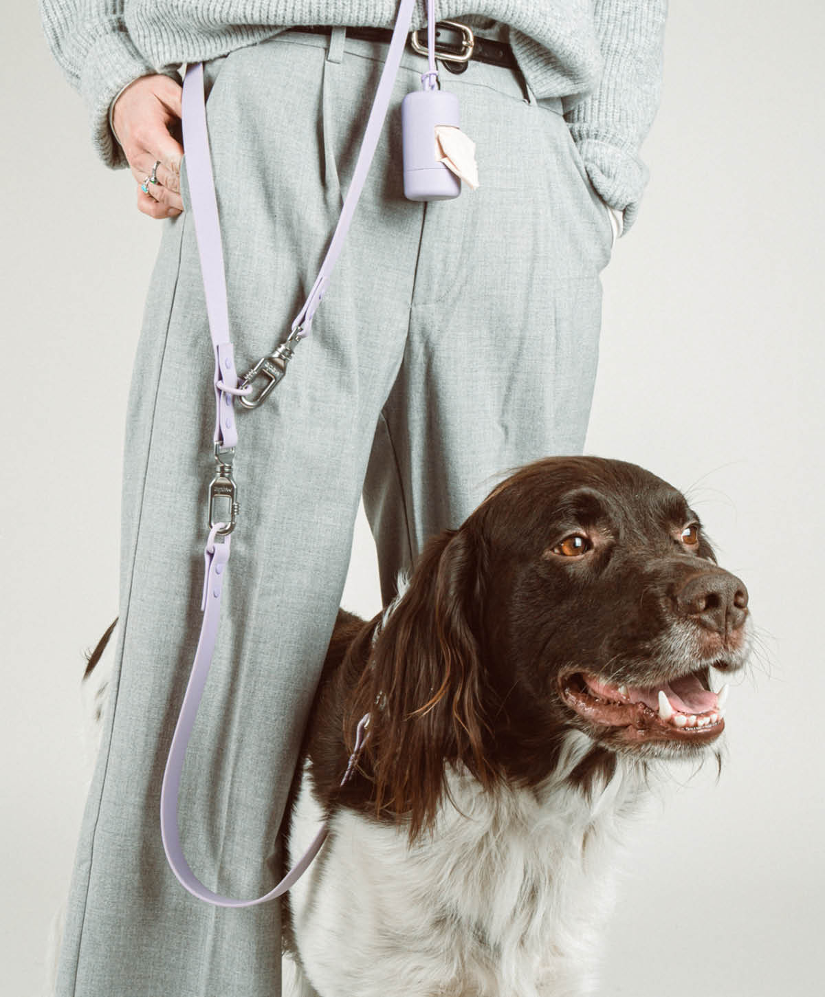 Walk Set für Hunde – Ansicht 2