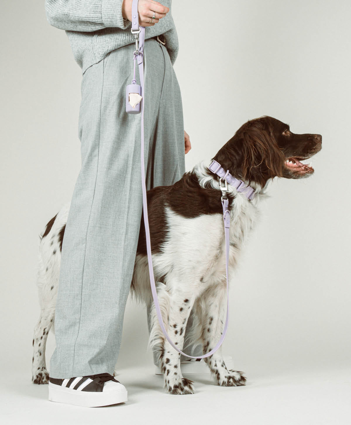 Walk Set Light für Hunde – Ansicht 2