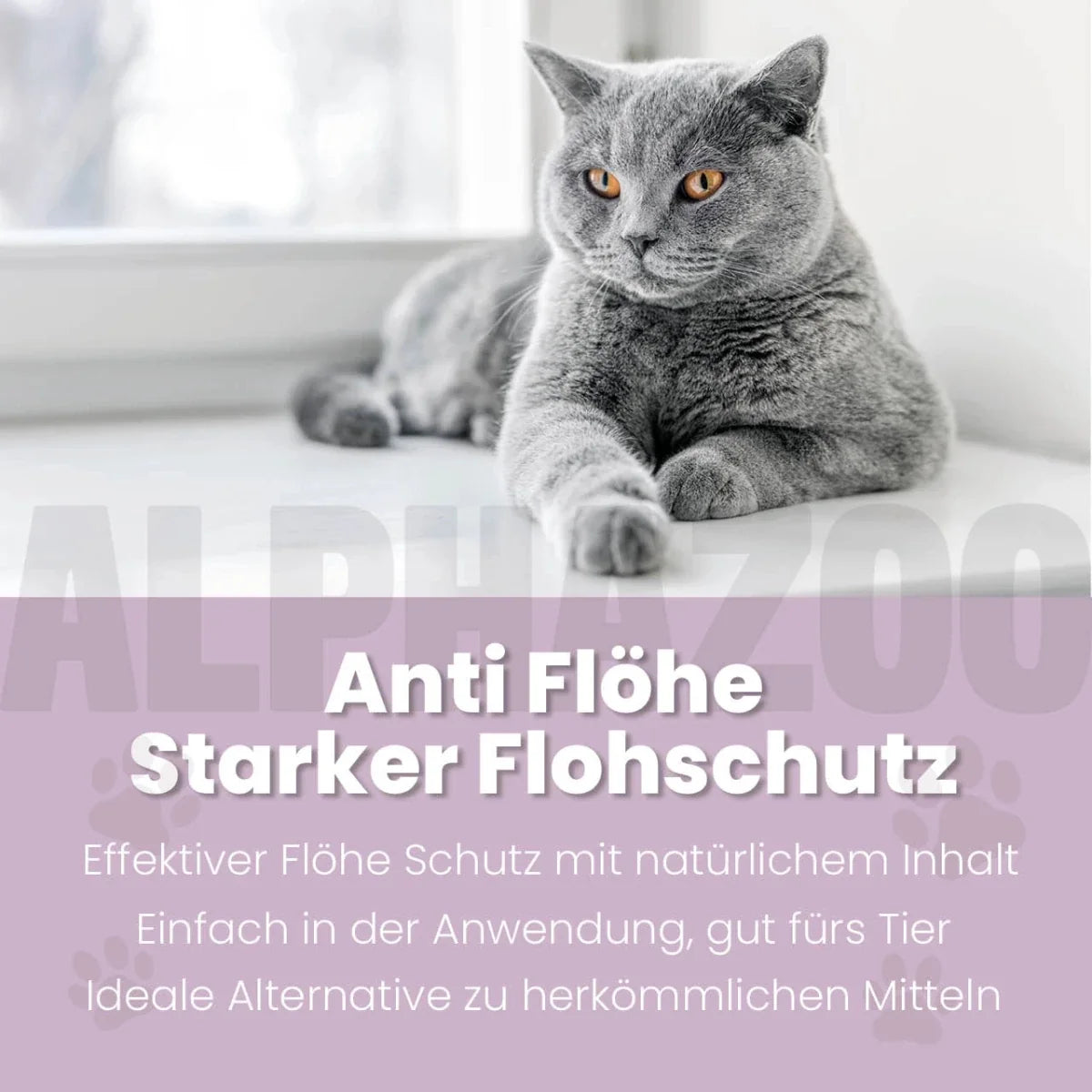 ByeByeVloh Spot-On für Katze – Ansicht 2