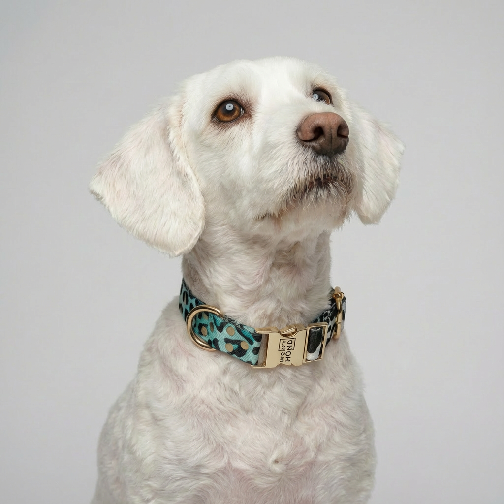 Halsband Aqua Camo für Hunde – Ansicht 2