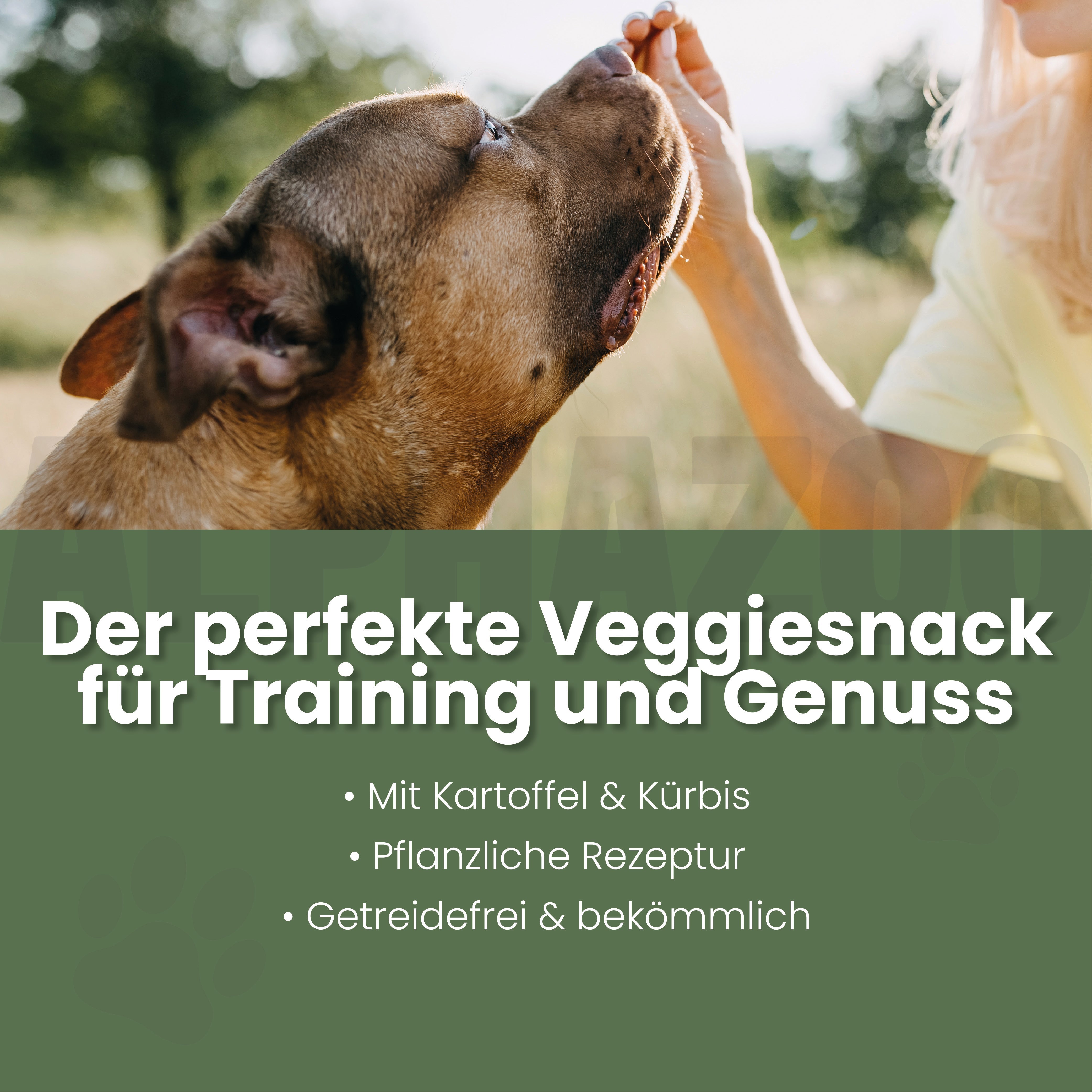 Couchpotatoes für Hunde – Ansicht 2