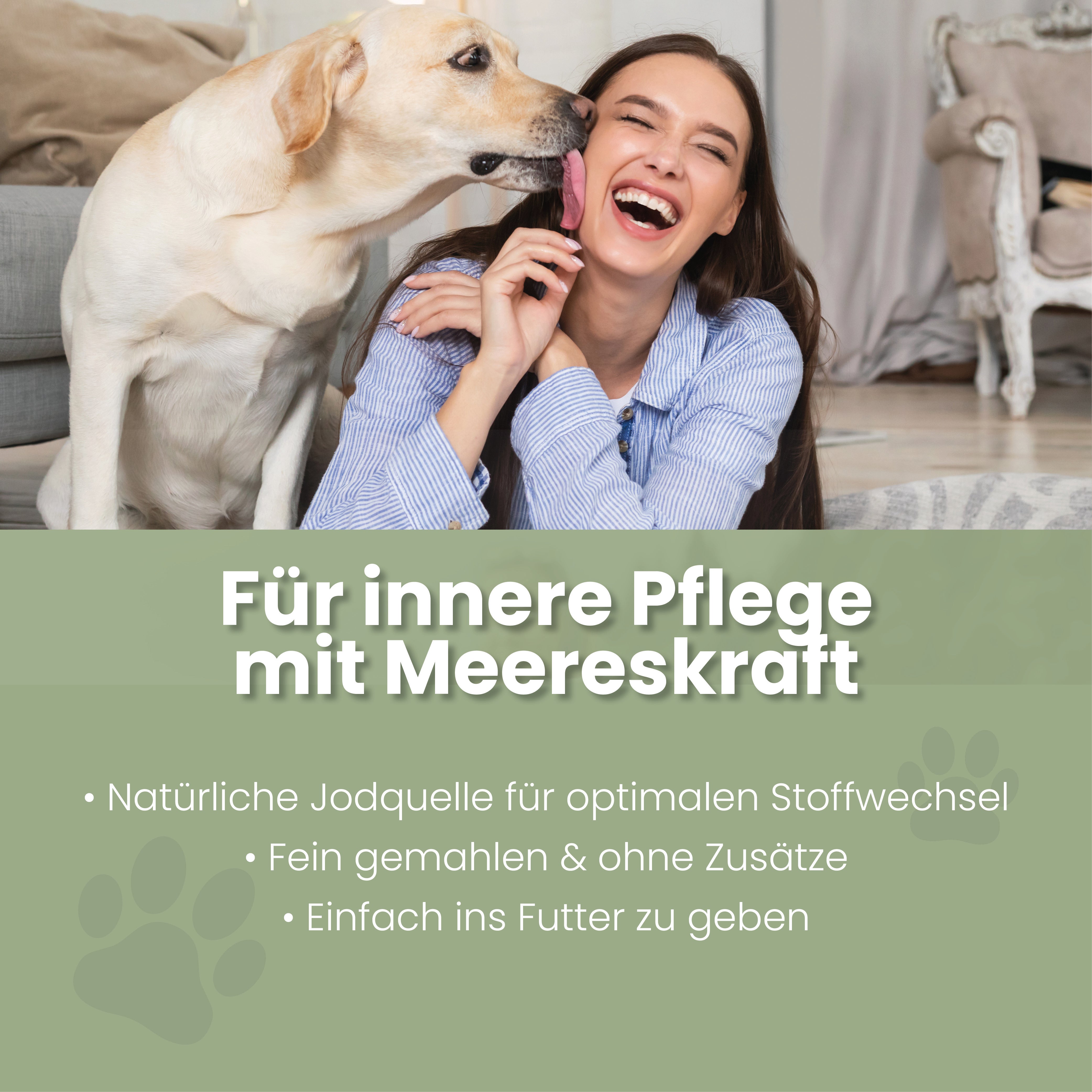 Seealgenmehl für Katzen – Ansicht 2