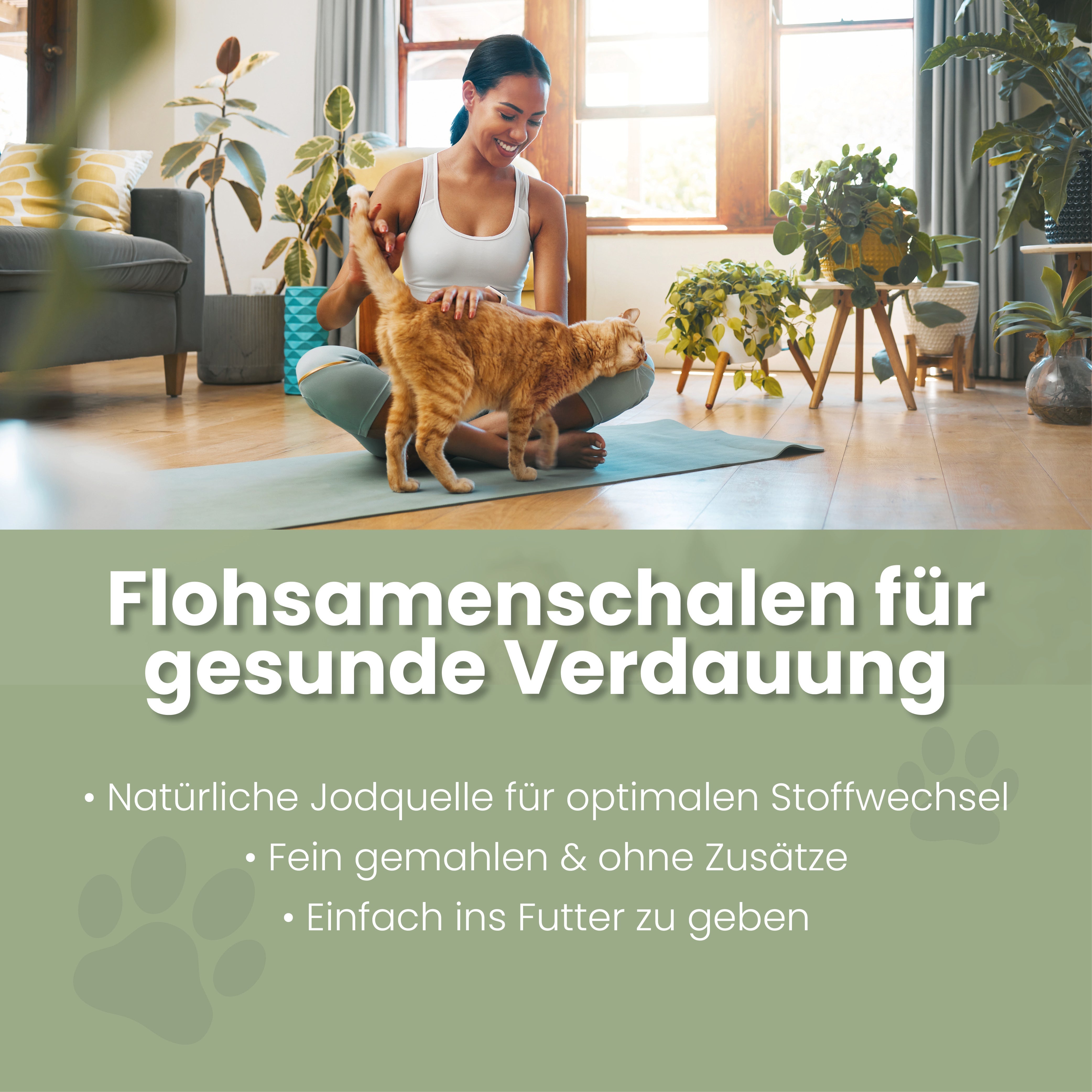 Flohsamenschalen für Katzen – Ansicht 2