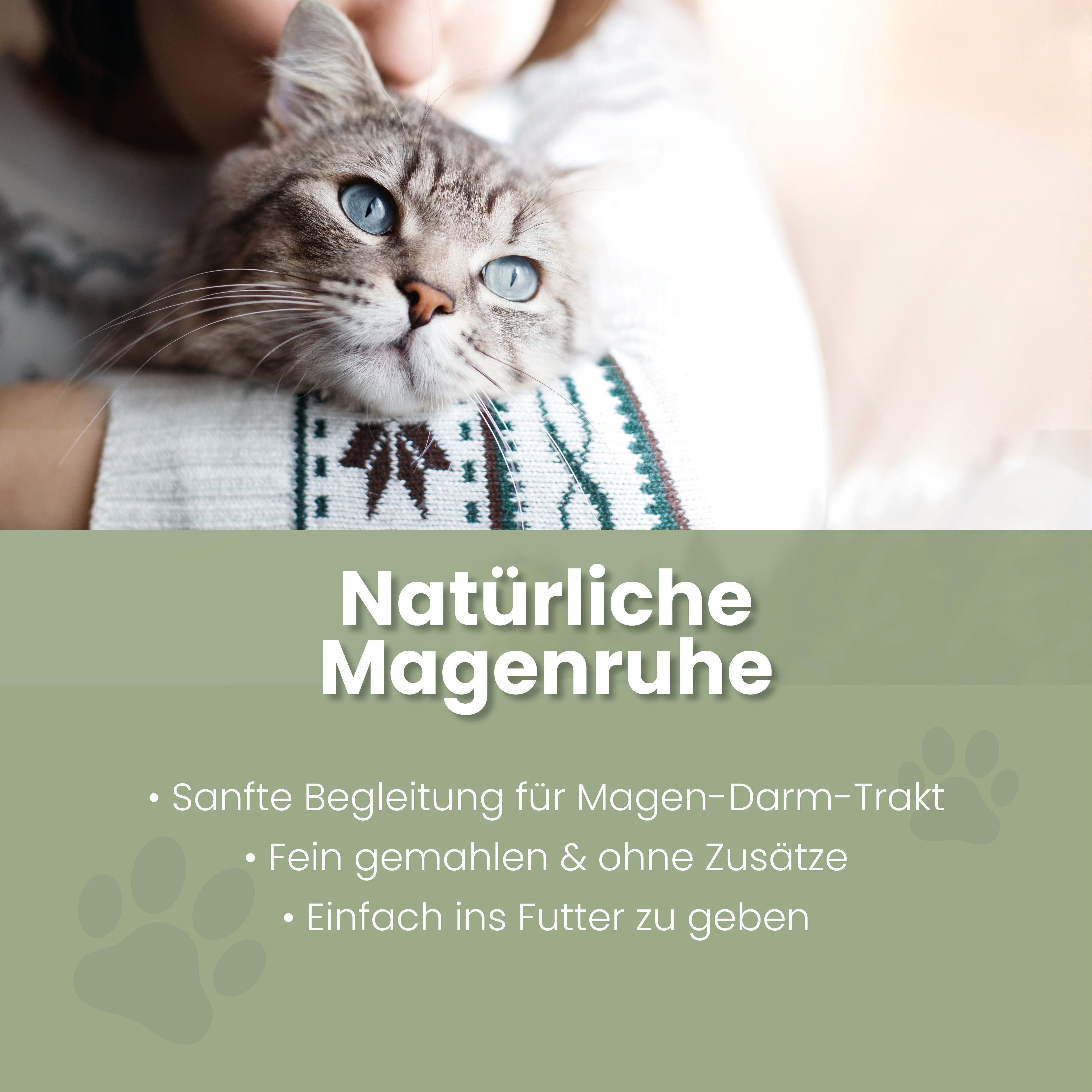 Ulmenrinde Pulver für Katzen – Ansicht 2